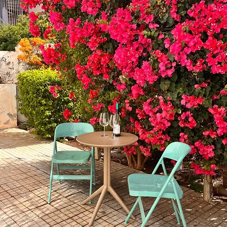 Buganvilla Garden Puerto de la Cruz (Tenerife)