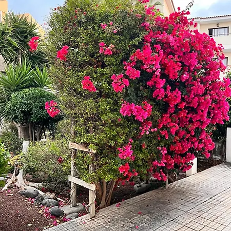 Buganvilla Garden