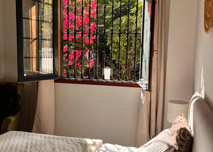 Buganvilla Garden Пуэрто-де-ла-Крус