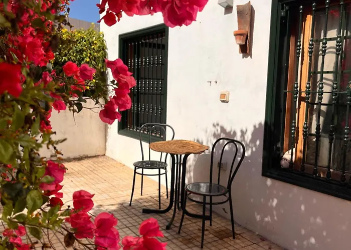 Buganvilla Garden Daire Puerto de la Cruz (Tenerife)