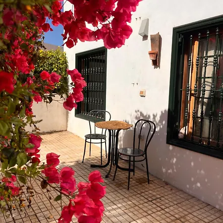 Buganvilla Garden Διαμέρισμα Πουέρτο Ντε Λα Κρουζ